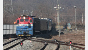 북녁땅 2600km 달린 南열차, 공동조사 마치고 도라산역 귀환