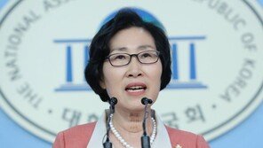 바른미래당 “文정부, 비핵화 중요하나 北인권 외면 안돼”