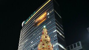 [원대연의 잡학사진]감귤…공작…블록…형형색색 크리스마스 이색트리