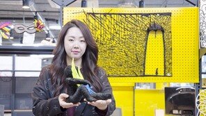 "3D 펜 아티스트 영역을 만들고 싶어요" 최은진 워크핸즈 대표