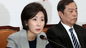 나경원 “직무유기·직권남용 혐의로 靑관계자들 고발”