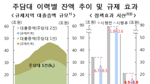 “9·13 부동산정책으로 신규 대출액 연 6조~7조 감소 예상”