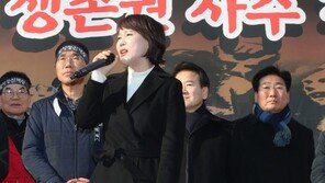 여야, 택시업계 집회서 “사회적 대타협” vs “카풀 정책 중단”