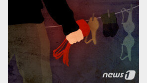 “3번 처벌받고도…” 새벽 헌옷수거함서 또 여성속옷 훔쳐