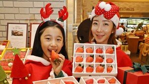 “왕딸기 선물세트입니다”