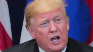 대북 인내심 잃어가는 美… ‘비건 보따리’가 마지막 선물될 수도