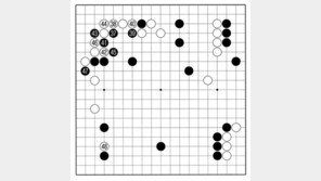 [바둑]알파고 vs 알파고 특선보… 실리에 민감한 백