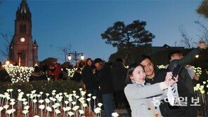 12월에 피는 LED장미 앞에서 ‘찰칵’