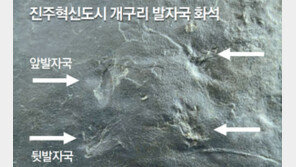 세계 最古 ‘개구리 발자국 화석’ 진주서 발견