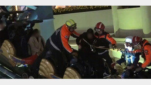 탑승객 가방 때문에… 롯데월드 놀이기구 ‘아찔한 스톱’