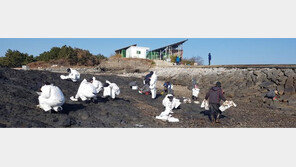 홍성군 죽도 해안서 정체불명의 기름띠 발견