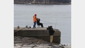 한겨울 방파제서 즐기는 주꾸미 낚시