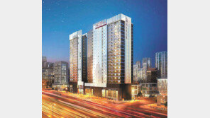 시티건설 강남 첫 아파트, 1월 2일 공급