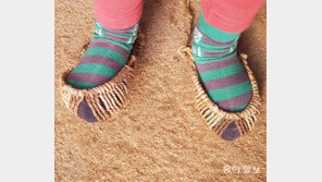 [고양이 눈]득템