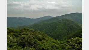 DMZ, 내년 상반기 ‘국제 보호지역’ 지정 추진