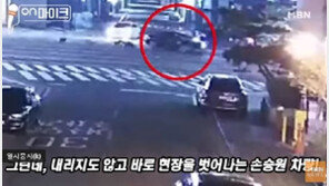 손승원 사고 CCTV, 무면허·음주·뺑소니 ‘빼박’ …전문가 “최소 징역1년”