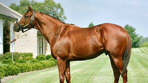 한국마사회 선정, 2018년 한국경마 10대 뉴스