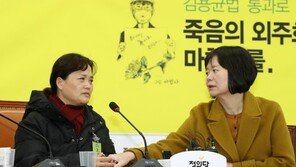 이정미, 김용균법 통과하자 “피말리는 하루…여기서 끝 아냐”