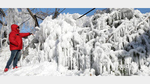 혹한이 만든 예술작품… 서울 28일 최저 영하14도