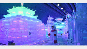 올해도 강원 산골마을서 ‘겨울의 기적’ 연출될까