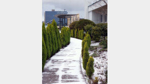 [날씨]제주도 ‘대설주의보’…산간지역 눈 최고 20㎝ 예상