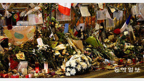 [책의 향기]21세기 新야만 잠재울 ‘관용의 정신’을 말하다