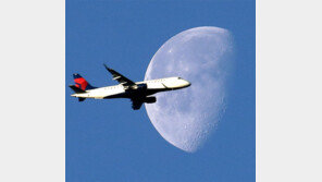 [고양이 눈]가즈아, 새해로