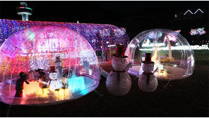 보성차밭 찬란한 빛의 향연… 한라산 눈부신 설국으로