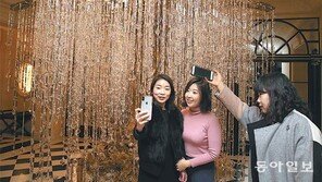 키 큰 트리와 조금 떨어져야 환상 전경 담을 수 있어… 평생 못 잊을 ‘인생 샷’ 찍어보세요