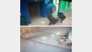 아이 손잡고 찾은 박물관… 천장서 ‘소화가스’ 쏟아져 실신-대피