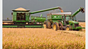 중국 미국산 쌀도 수입한다… ‘사상최초’