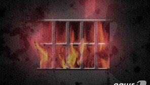 안동 주택서 방화 추정 불…야산으로 번져 헬기 2대 투입