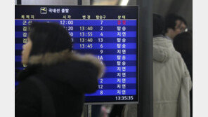 강풍 분 제주공항 총 65편 지연운항…한라산 21.9㎝ 폭설