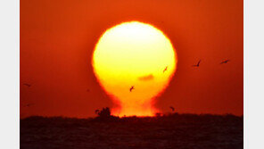 마지막날 멈춰선 한파…해넘이·해돋이 ‘OK’