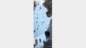 정상을 향해… 새해도 한걸음씩