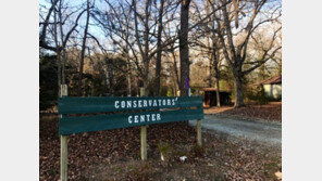 미 야생동물 보호소의 사자 탈출, 인부 살해