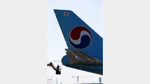 대한항공 일부 기내 AVOD 지도에 ‘동해’ 아닌 ‘일본해’ 표기 논란