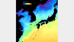 바다양식장 2011년 132억 피해 악몽 재연?···남·서해 ‘저수온 초비상’