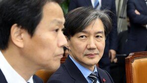 손혜원 “꼿꼿한 조국, 악성 프레임 전문가와 클래스 달라”