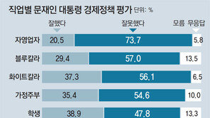20대-영남-자영업자 “경제정책 잘못”… 全연령대 과반 부정 평가