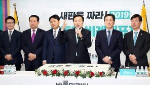 손학규 “무능한 진보·허망한 보수 물리쳐 정치개혁 이룰 것”