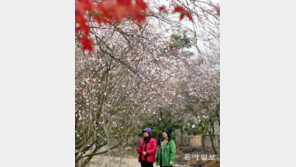 [신문과 놀자!/피플 in 뉴스]‘소확행’ ‘인싸’… 유행어의 사회학