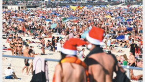 [신문과 놀자!/사진으로 보는 뉴스]호주에서 즐기는 한 여름의 크리스마스