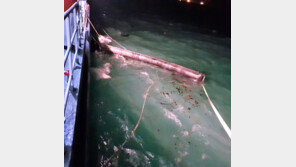 여수 오동도 해상 벙커C유 유출…해경, 1차 방제 마무리