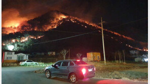 양양 산불, 바람타고 확산·주민대피령…10㏊ 소실 추정