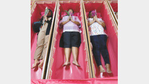 [고양이 눈]새로운 탄생