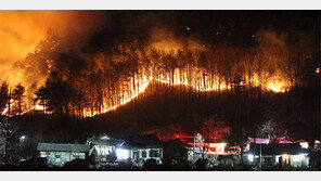 민가 위협하는 양양 산불… 주민 긴급대피 명령