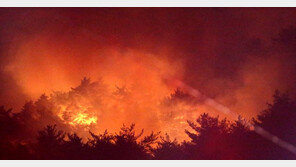 ‘양양산불’ 14시간째 번져 16㏊ 잿더미…7시 헬기 14대·진화대 1621명 투입