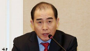 ‘김정은 신년사’ 본 태영호 “2차 북미회담 당분간 어려워”