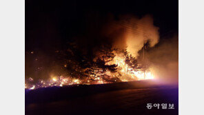 ‘양양 송천마을 산불’ 이틀째…산림 20㏊ 소실·주민 297명 대피
